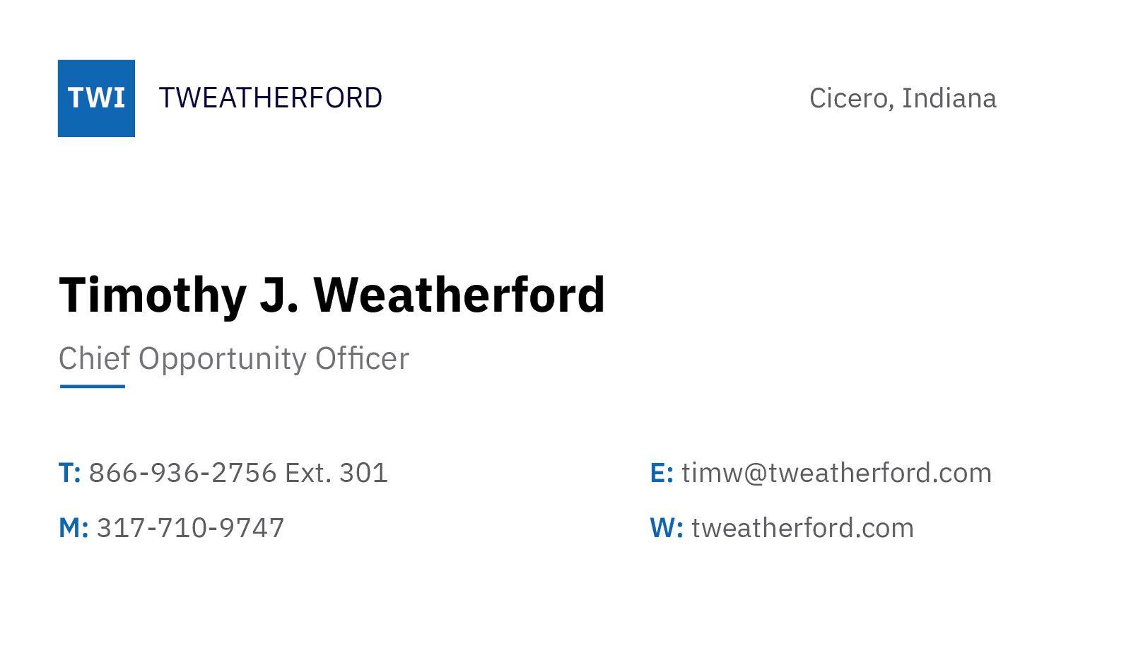 TWI Brand & Business Card Design